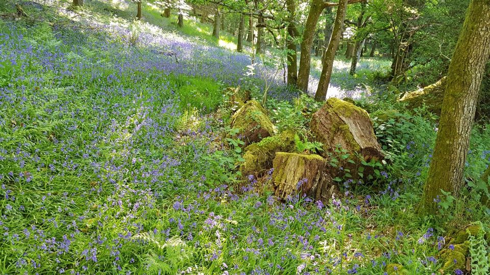 Slideshow 5 - Slide 17